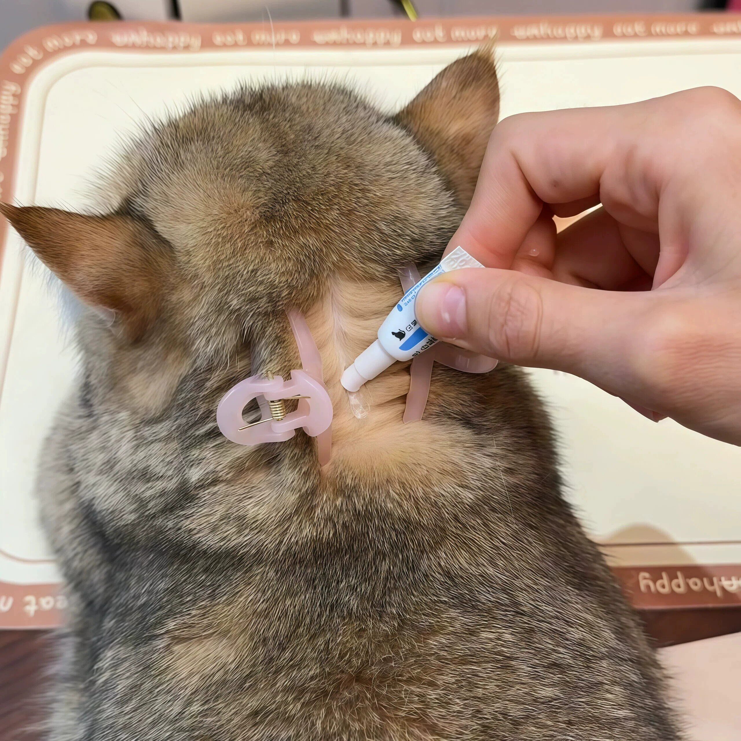 猫狗通用驱虫分毛发夹防甩