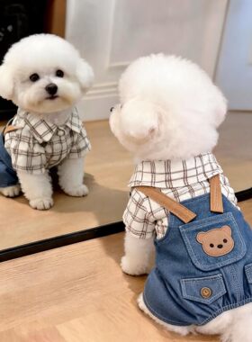 春秋小型犬可牵引四脚背带裤