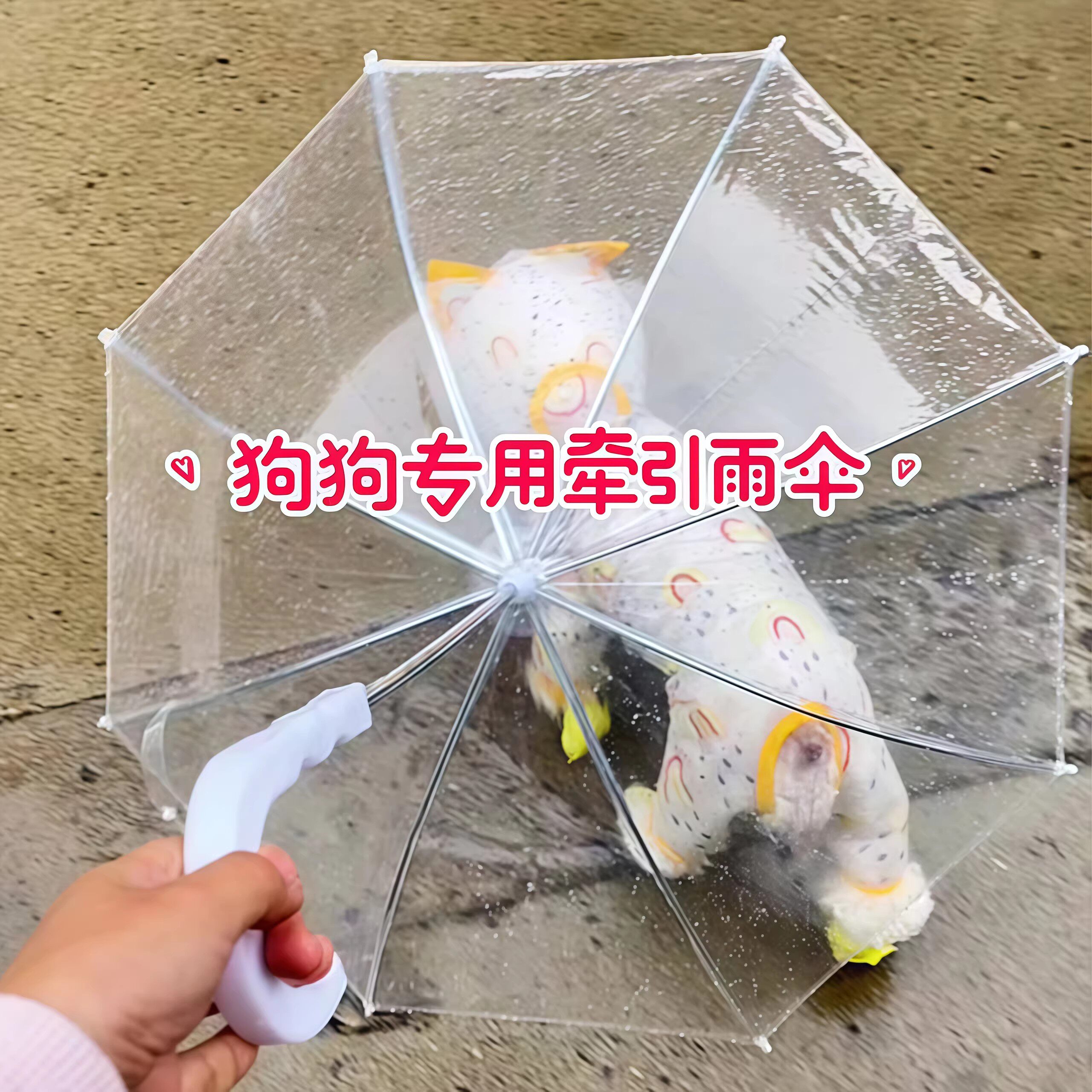 狗狗专用透明雨伞夏季防雨宠物用品可爱创意雨具遛狗伞牵引工具