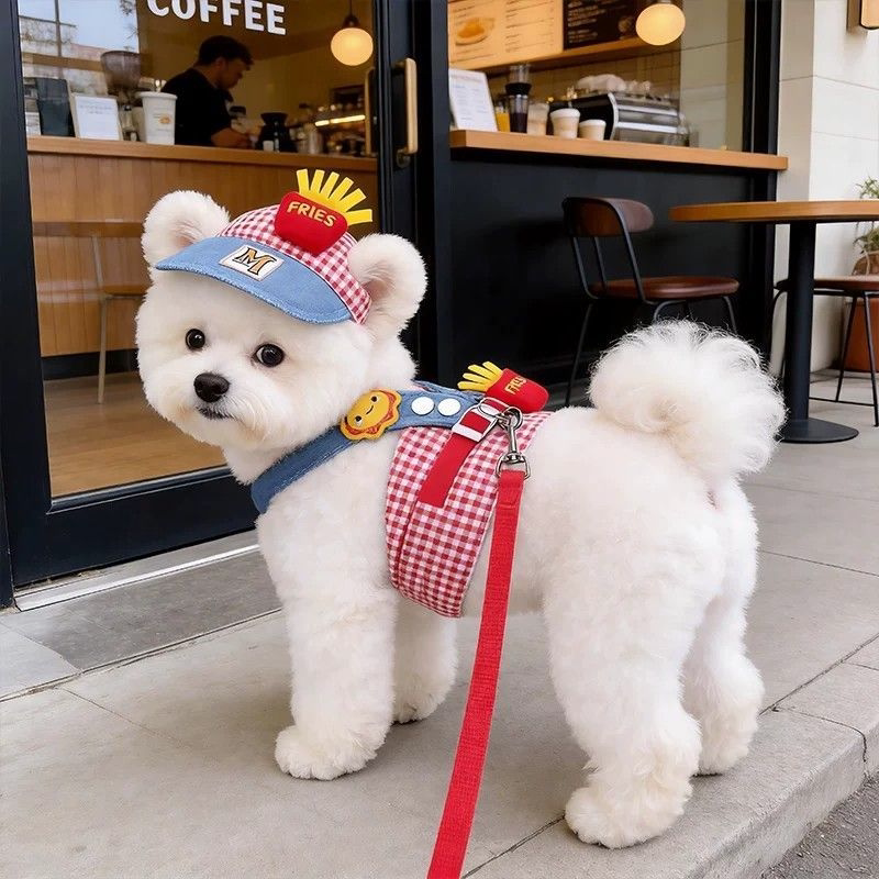 狗狗外出防晒胸背带牵引绳带帽衣服小型犬比熊柯基西高地遛狗神器