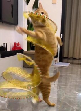 猫隧道逗猫棒小猫玩具羽毛老鼠