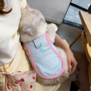 小猫咪衣服夏季冰丝背心透气放掉毛布偶英短银渐层可牵引比熊衣服