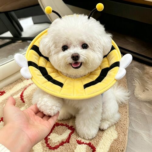 狗狗软伊丽莎白圈防舔防咬术后