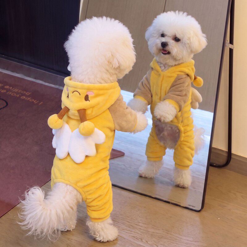 猫咪衣服秋冬加绒宠物服装2026新款狗狗四脚衣可爱小蜜蜂变身装
