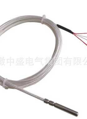 WZPM2端面热电阻 PT100铂热电阻温度传感器 双支端面热电阻
