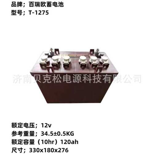 百瑞欧蓄电池T-1275T-1285电动叉车12v120ah150a水电瓶可充电