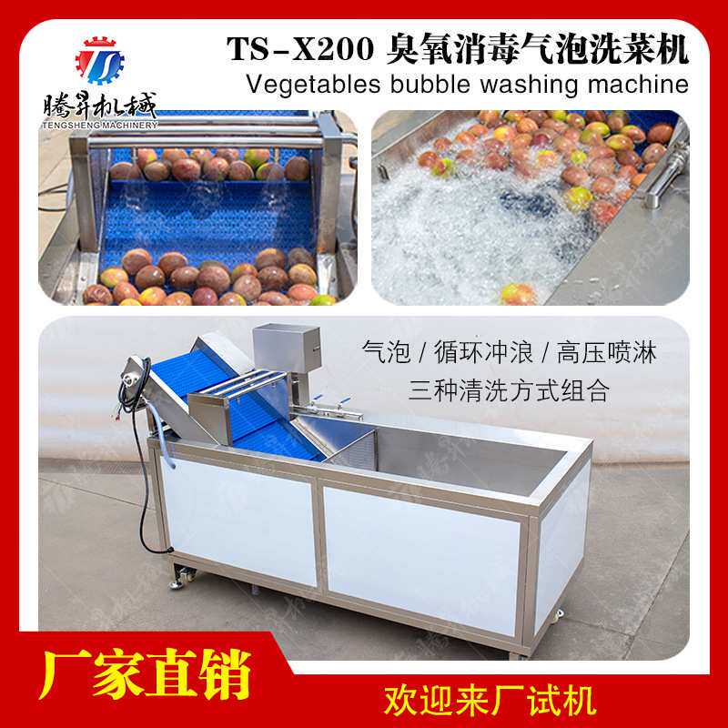 商用超声波洗菜机气泡式臭氧消毒去农残清洗机洗菜机厂家价格