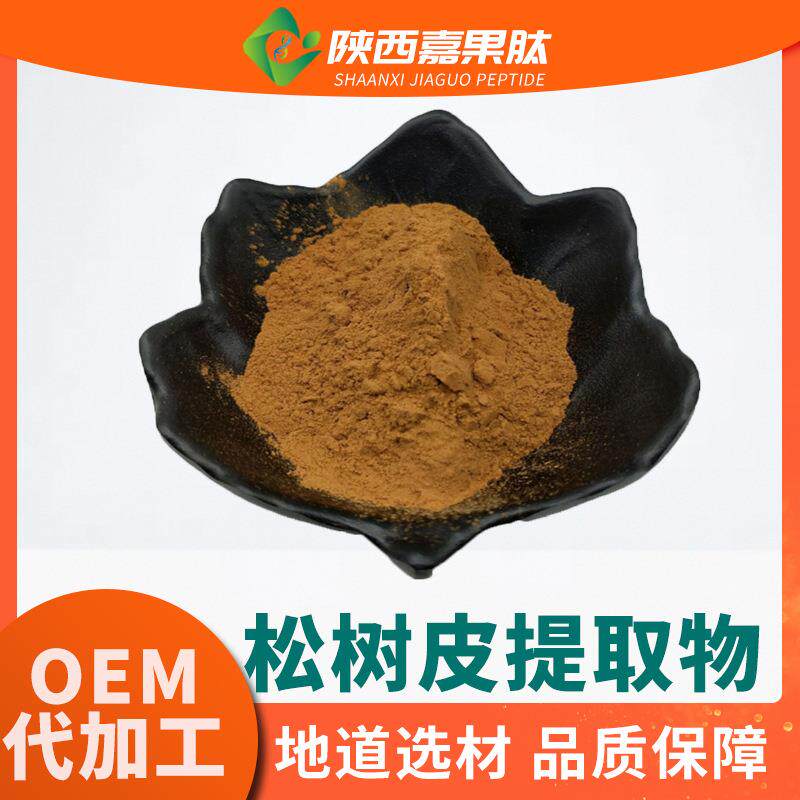 松树皮提取物10:1 多规格现货供应 植物原料浓缩粉 水溶松树皮粉