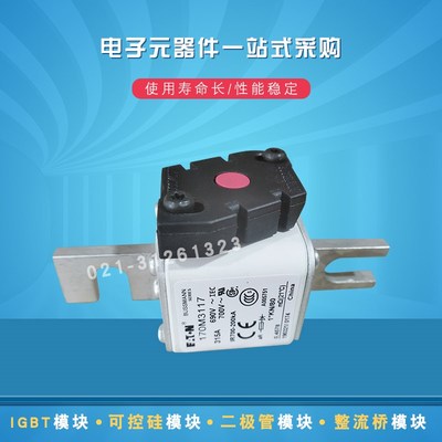 170M3446 3447 3448 3458 3459 3460 3461 3462快速熔断器保险丝