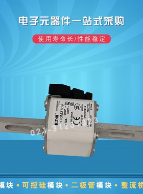 巴斯曼快速熔断器170M3768 3769 3770 3771 3772 3773 3808 0809