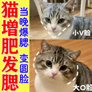 猫咪发腮不爱吃饭食欲不振厌食怎么办维生素增加食欲促消化催肥饭