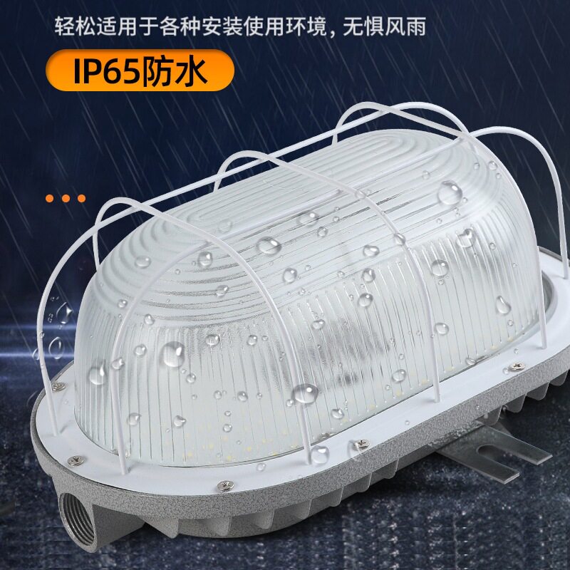 led防潮防水防爆灯吸顶防尘灯高亮洗浴室卫生间仓库厂房庭院冷库