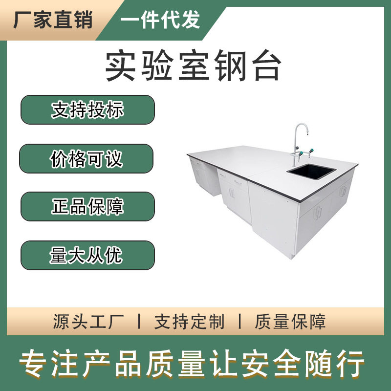 实验室工作台全钢实验台实验室通风柜理化板边台试验台钢木实验台