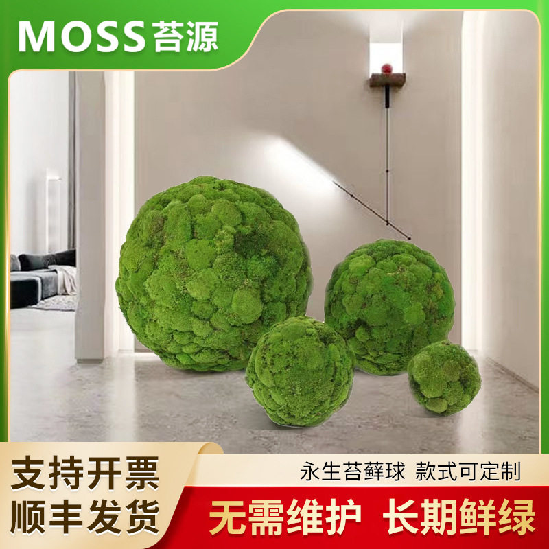 苔源 永生青苔藓球 人造仿真植物墙店铺橱窗造景装饰白发藓草皮