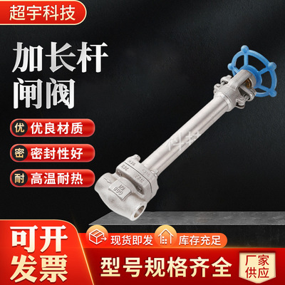 硬密封低温闸阀 F316 DZ61W-800LB不锈钢工业闸阀 地埋加长杆闸阀