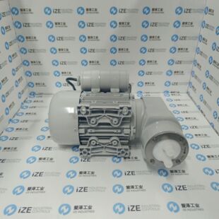 BUHLER泵4261721199000原装