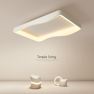 极简客厅灯2023年新款网红吸顶灯现代简约风设计感LED主卧室灯具