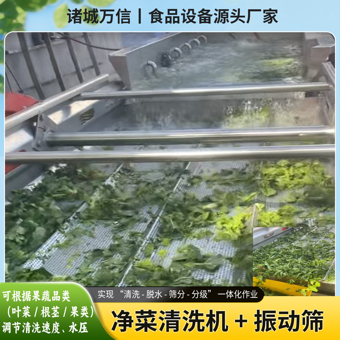 不锈钢果蔬清洗脱水振动筛
