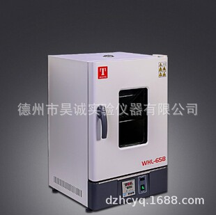泰斯特WHL-65B(D)立式电热恒温干燥箱数显实验室工业烘烤老化箱