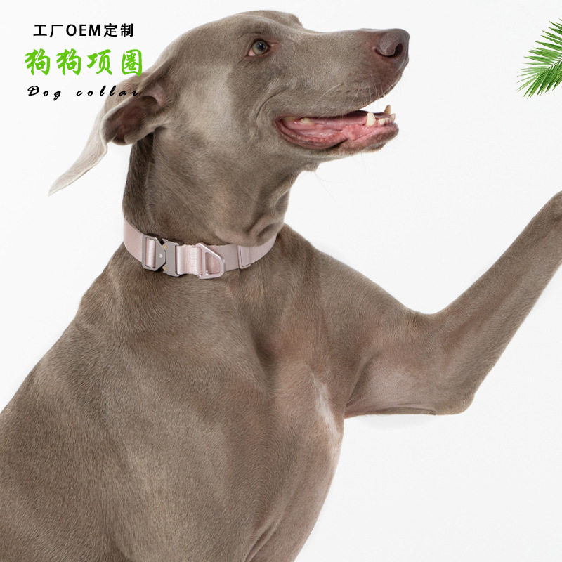 轻合金项圈小中大型犬狗项圈轻便坚韧优雅出圈宠物颈圈加工定制