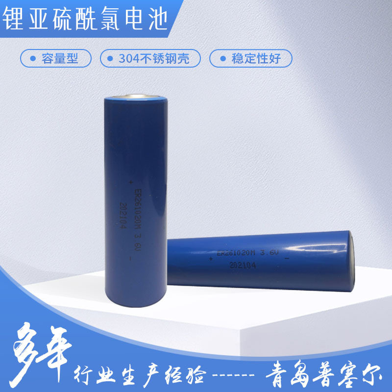 硫酰氯锂亚电池ER261020M功率型13000mAh探棒检测仪报警器钻探头