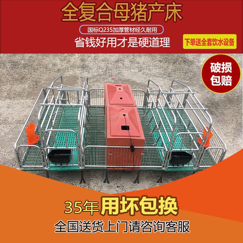 母猪产床双体加厚产保两用落地式产床养殖设备猪笼猪栏仔猪垒德株
