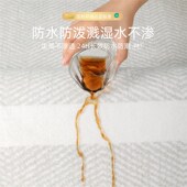 地毯客厅2024新款 轻奢高级家用卧室地垫免洗可擦床边毯免打理天津