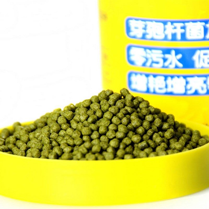 三友创美曼舞者高级金鱼鱼粮冷水鱼观赏鱼饲料锦鲤红鲫鱼食小中粒,宠物/宠物食品及用品,观赏鱼饲料,淘宝优惠券,粉丝福利购,淘宝优惠卷