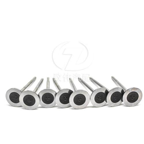 适配标致206雪铁龙C2世嘉307爱丽舍408凯旋C5发动机进气门排气门