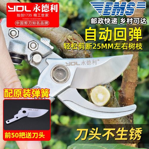 永德利剪刀修枝剪果树枝家用园艺剪花卉强力剪树剪子园林绿植专用