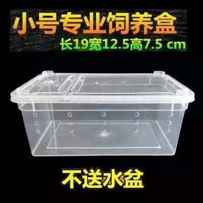 包邮爬虫塑料饲养盒蜘蛛守宫蜥蜴蝎子蜈蚣角蛙龟蜗牛宠物蛇饲养盒,宠物/宠物食品及用品,爬宠缸/箱,淘宝优惠券,粉丝福利购,淘宝优惠卷