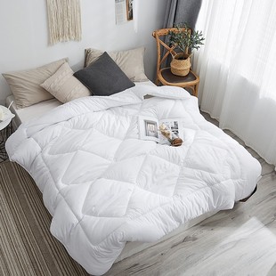 秋冬保暖被芯春夏子母被双人床200X230宿舍单人白色加厚被150x200