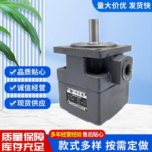 仙居永灵液压叶片泵yb1-10磨床油泵YB1-100/4/6/16/25/齿轮泵大全