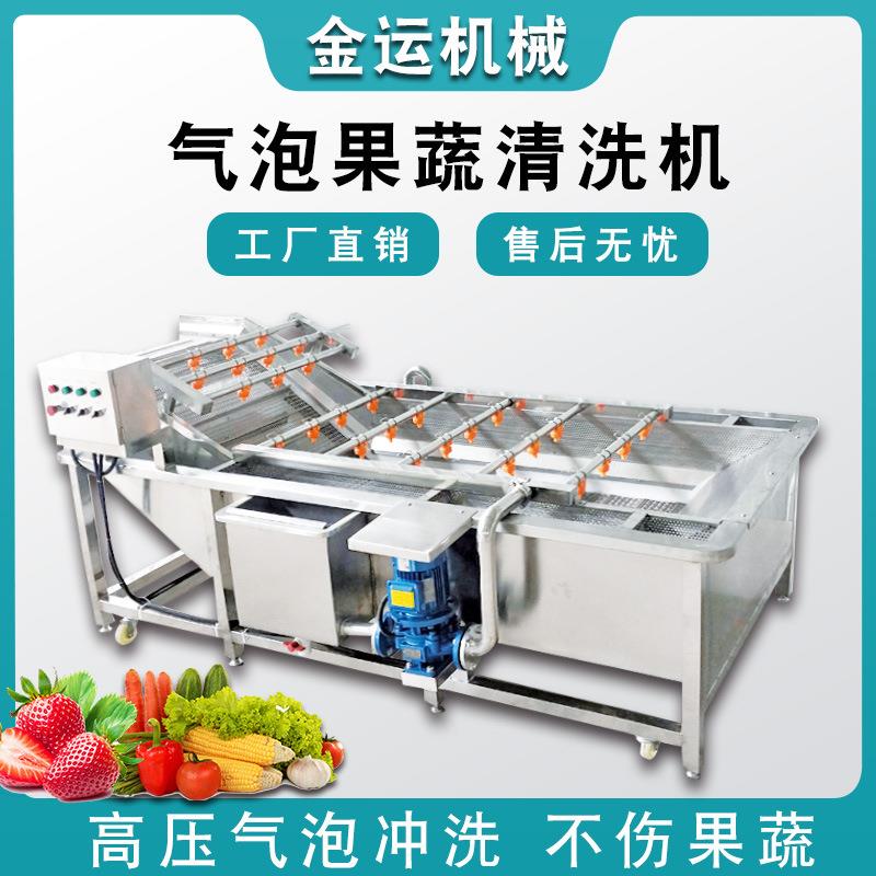 供应葡萄果蔬清洗机气泡喷淋式土豆片清洗机果蔬清洗设备