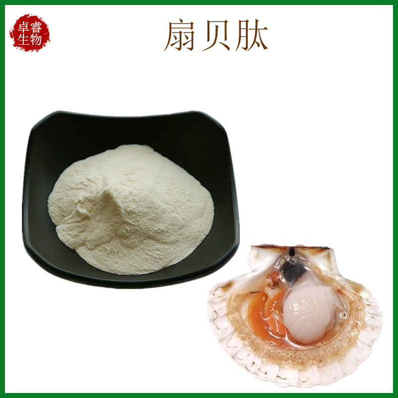 扇贝肽 1kg/袋 500道尔顿 扇贝小分子肽 扇贝低聚肽 现货供应