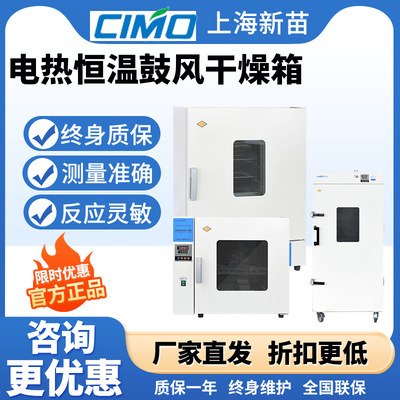 上海新苗DHG-9243BS-Ⅲ电热恒温鼓风干燥箱实验室工业烘箱