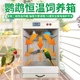 鹦鹉暖风机保温箱幼鸟暖风机繁殖育雏实木箱手养牡丹玄凤宠物恒温