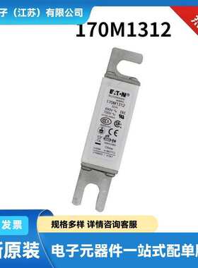 170M6939 170M6940 170M6941 170M6942原装低压熔断器 保险丝