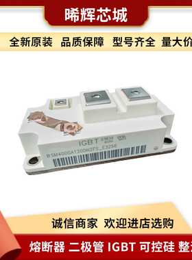 BSM75GD120DLC BSM100GD120DLC模块igbt电子元器件 库存充足真供