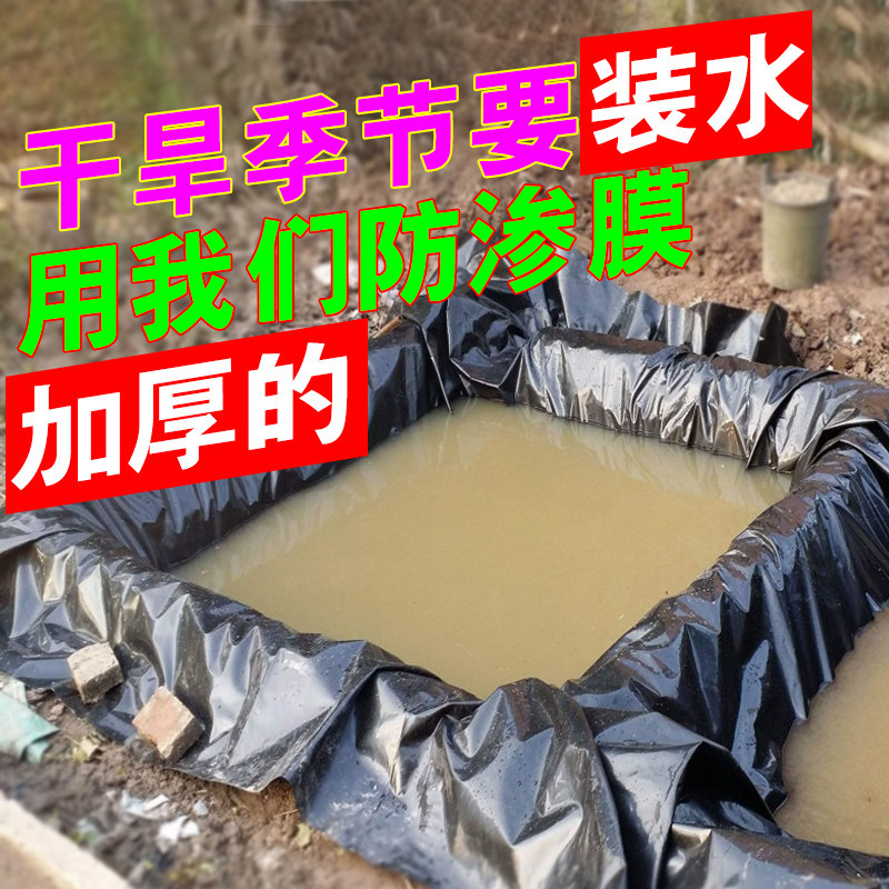 塑料布防水布鱼池专用塑料膜加厚薄膜农用鱼塘防R渗膜土工膜防水
