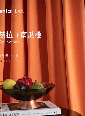 橙色窗帘丝绒卧室高级感绒s布法式轻奢全遮光2021年新款客厅ins风