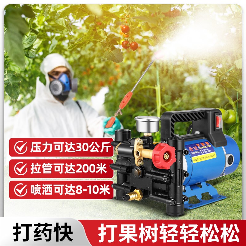 电动喷雾器农用果树喷q农药神器打农药喷水高压自吸双缸柱塞打药