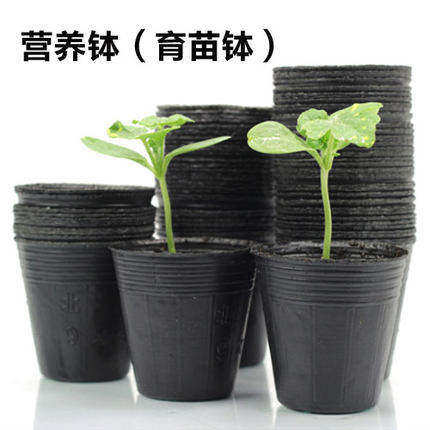 厂家直销营养钵育苗杯塑料碗蔬菜花卉F苗木秧苗培育袋包邮量大优