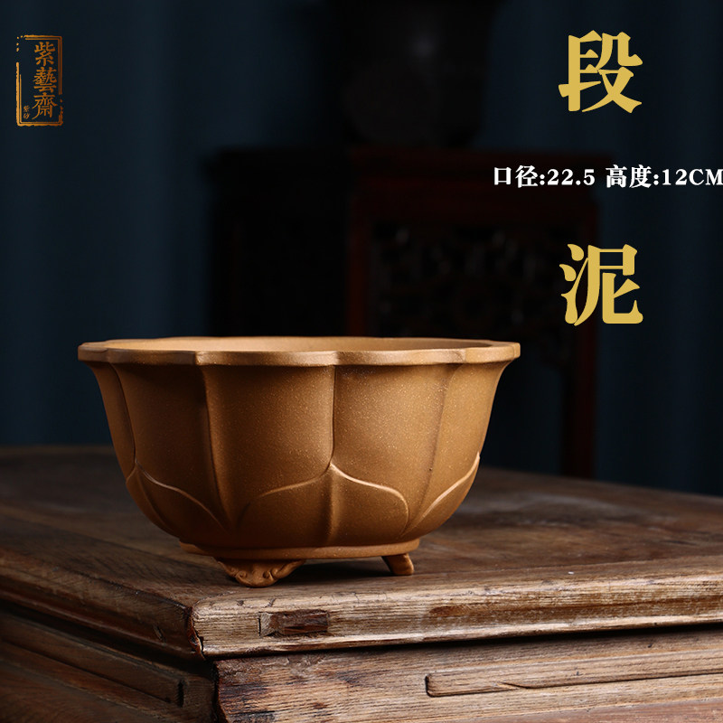 紫砂花盆大号盆景绿植盆栽园艺培育摆设展览松柏S文竹多肉多瓣双