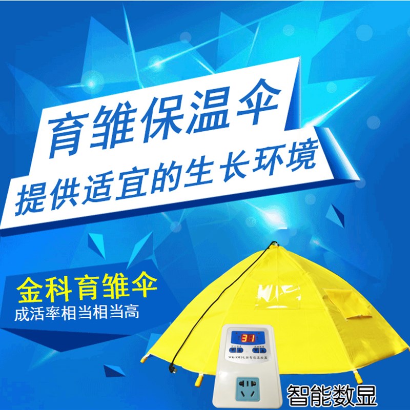 育雏伞育雏器小鸡脱温设备孵化A机全自动控温伞保温伞保温箱保温