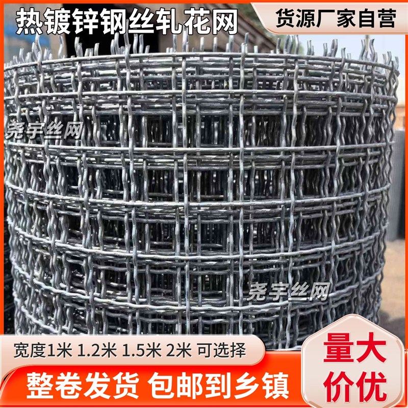 热镀锌钢丝网编织网筛网羊床漏粪网养殖网格防护V网 钢丝围栏网