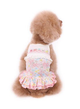 快速发货宠物衣服春夏新款纯棉碎花绣花吊带裙泰R迪比熊狗狗衣服