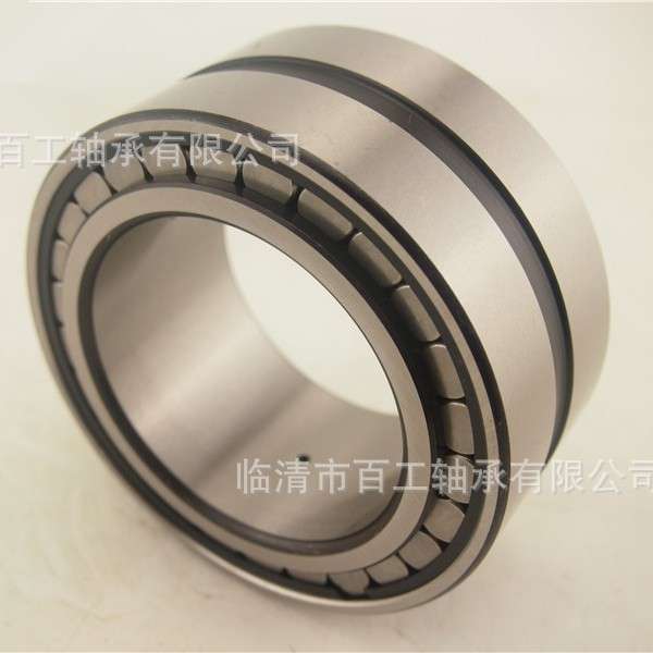 满装圆柱滚子轴承SL04 NNF 50 1 0 1 2 3 4 5 6 7 8 9 PP ADA-2LS