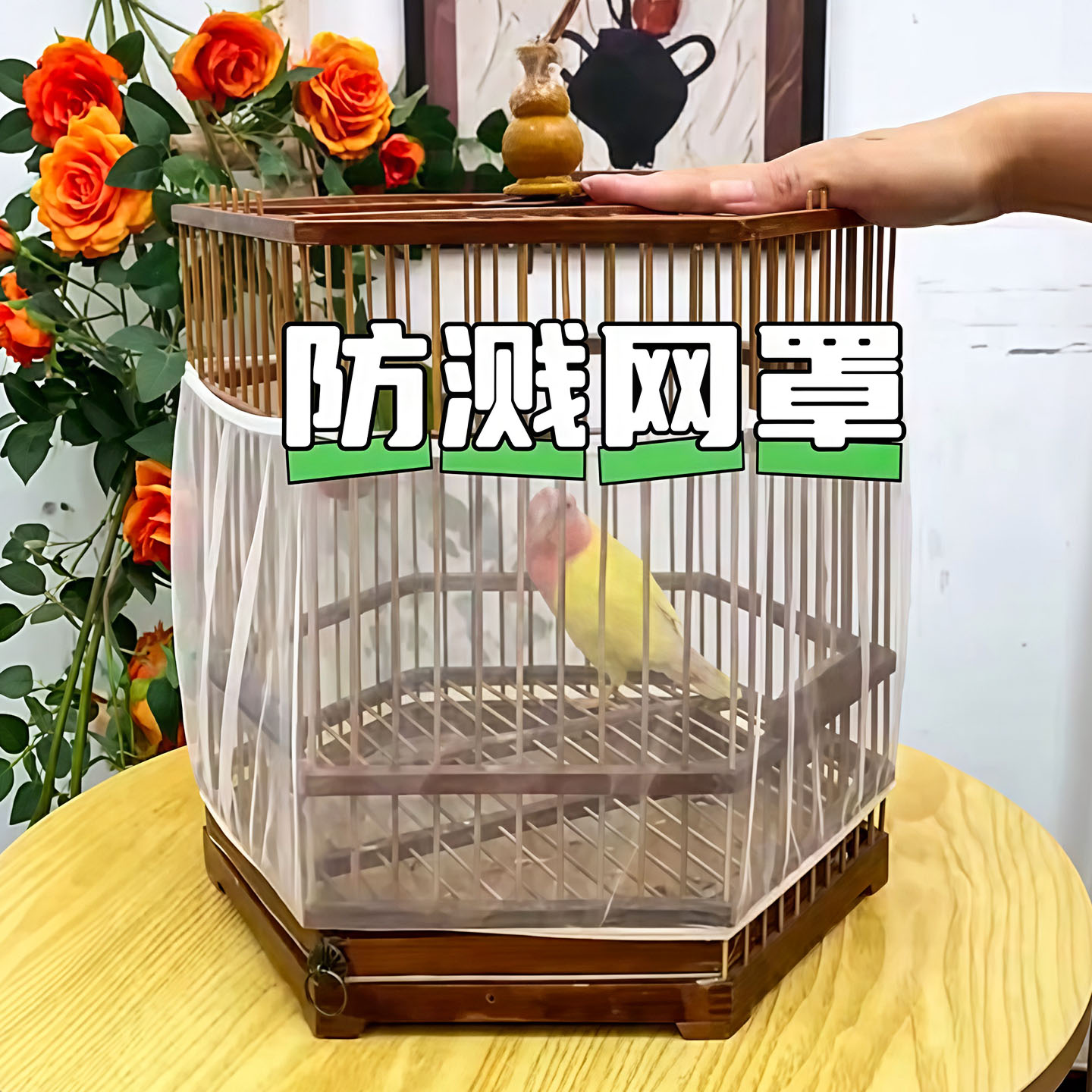 鹦鹉笼网纱罩防溅防飞羽方形圆形图片