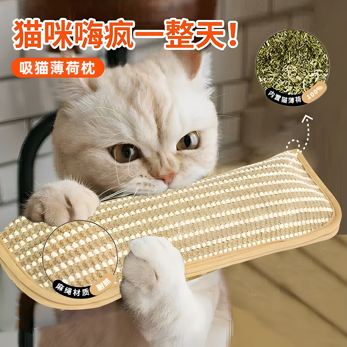 猫玩具猫薄荷抱枕耐咬麻垫猫抓板